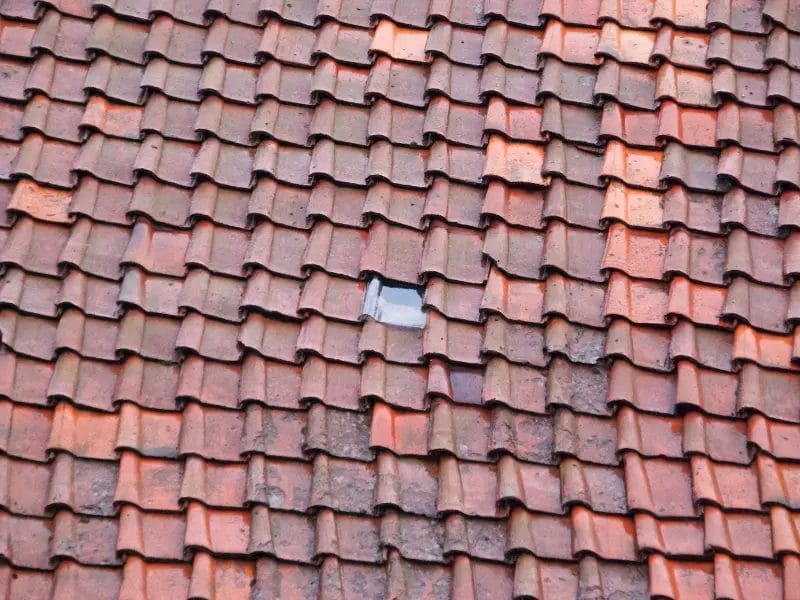 a roof with a transparent roof tile in the middle of it